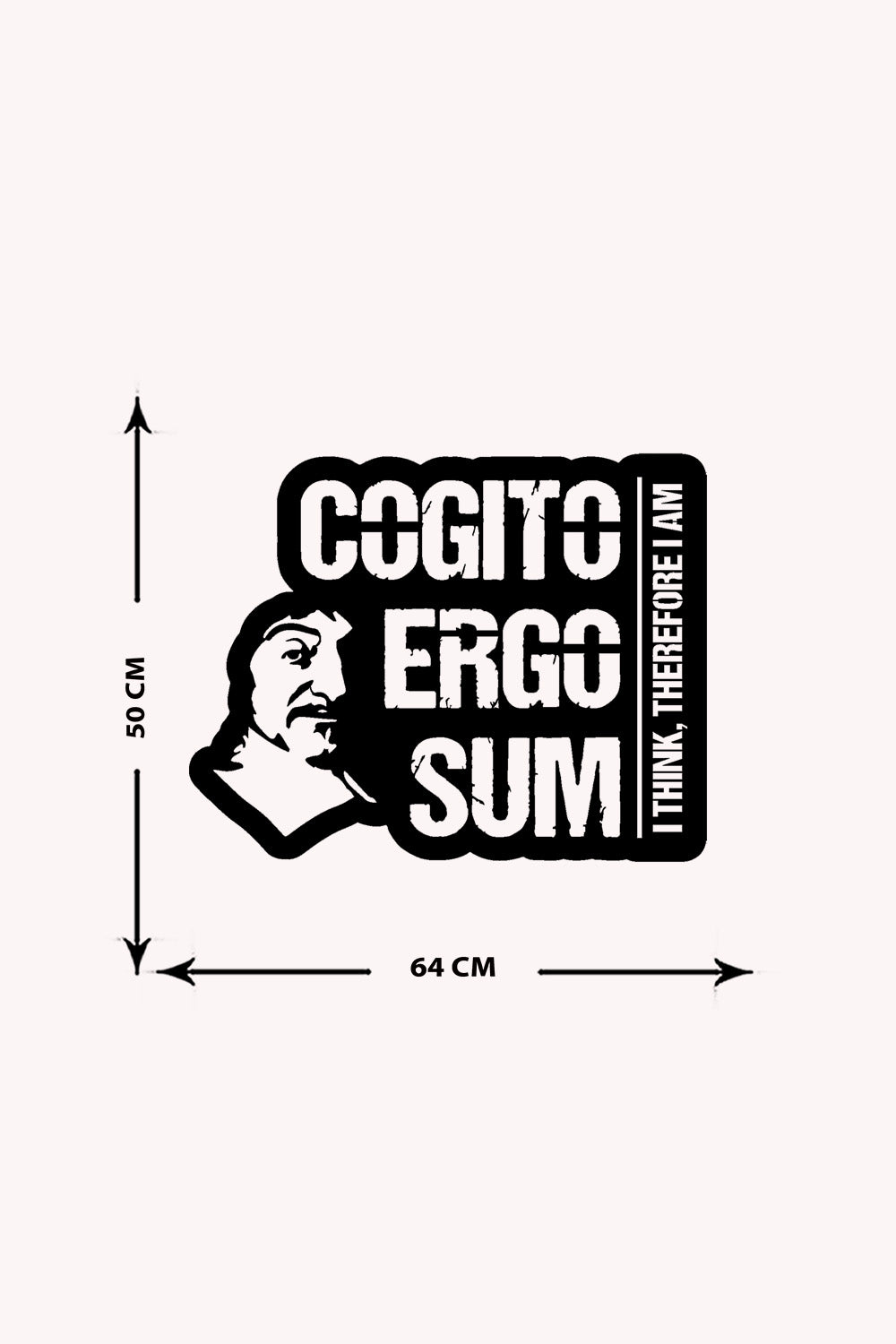 Cogito Ergo Sum Descartes Yazısı Metal Duvar Tablosu