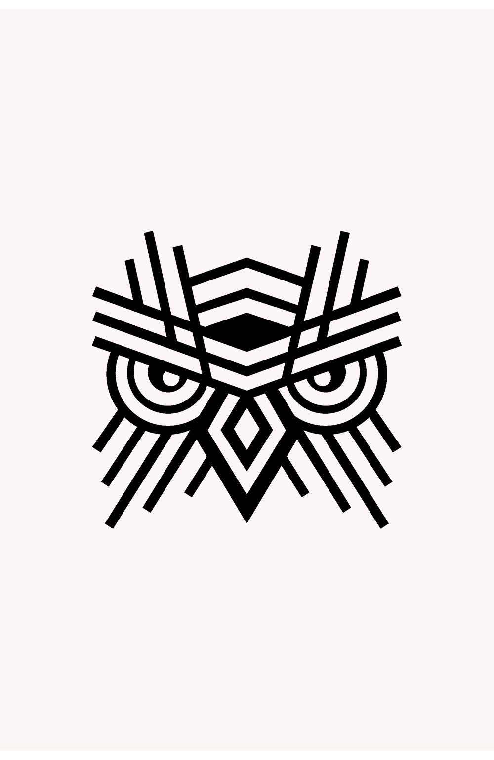 Owl Face Metal Duvar Tablosu
